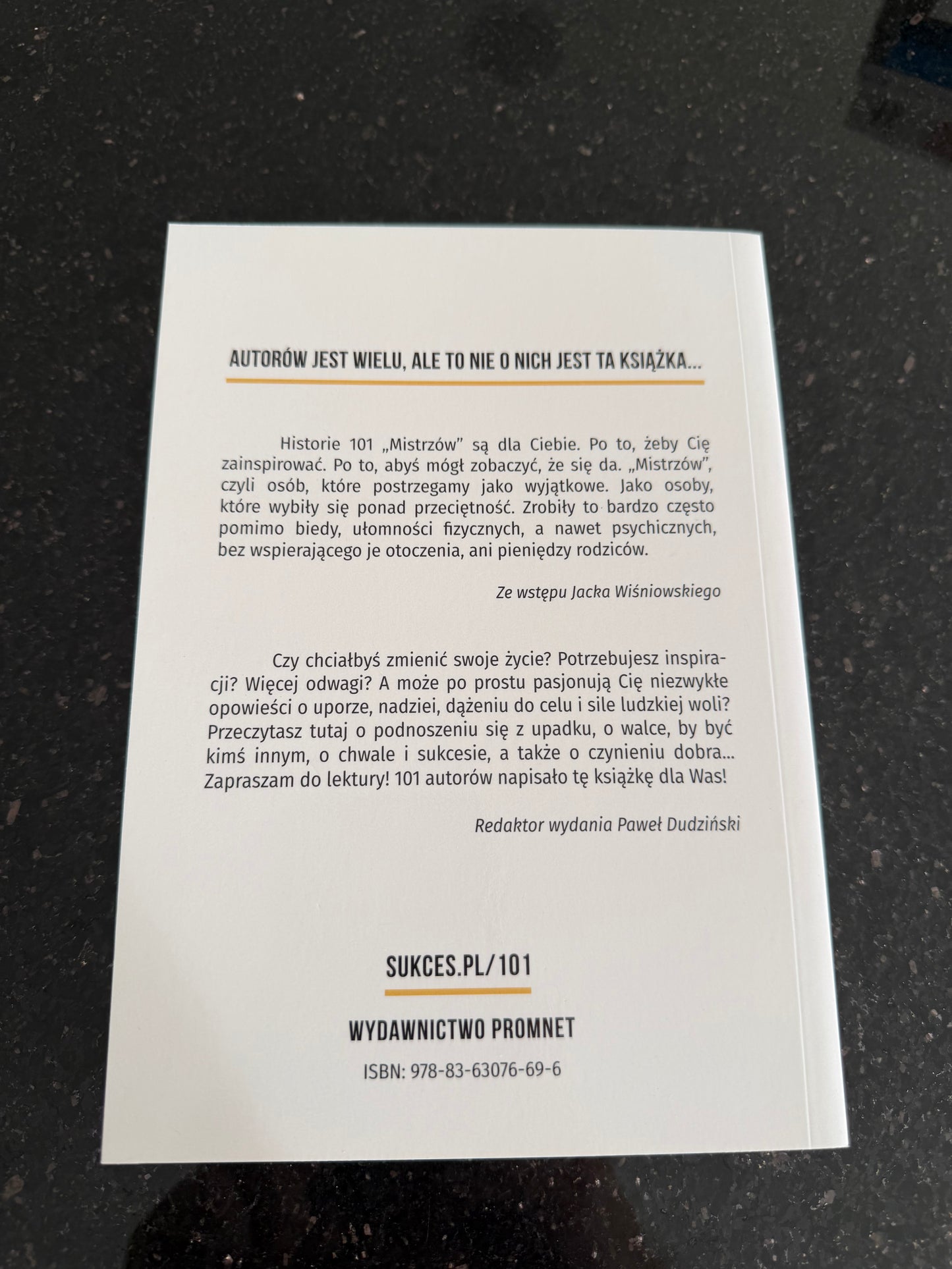 🇵🇱Polish Book - Mistrzowie Czyli 101 Insprujacych Historii Ludzi Sukcesu