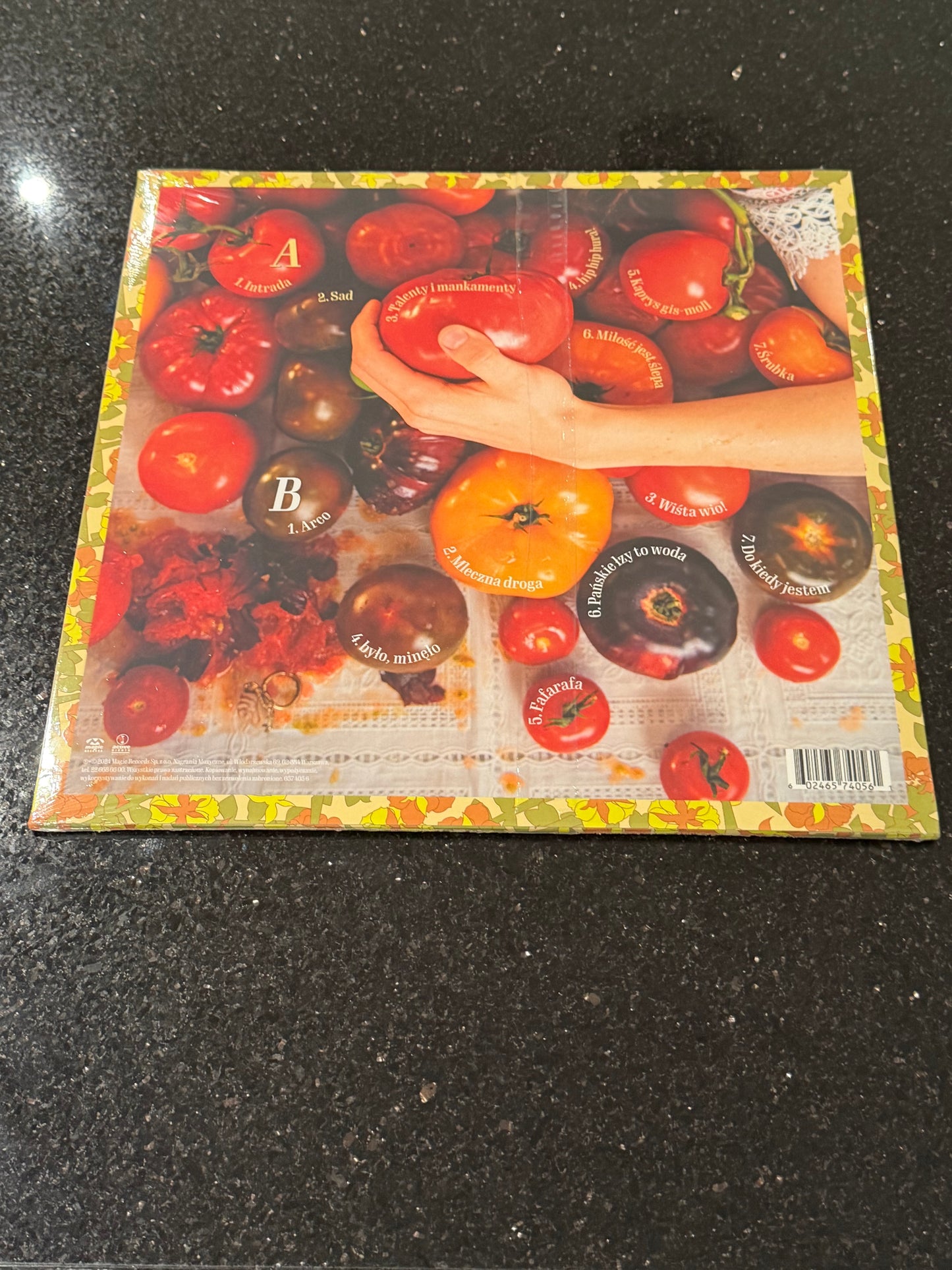 🇵🇱Polish Music Vinyl - Sanah - Ksprysy LP