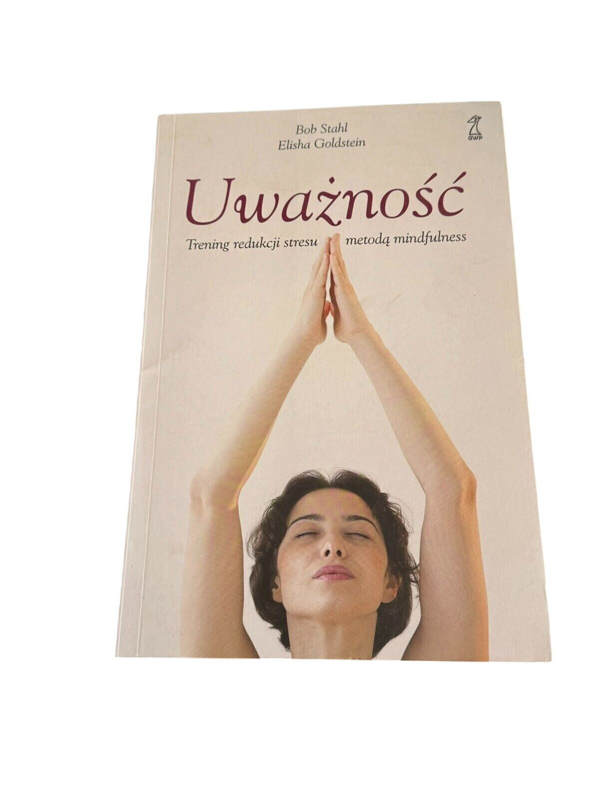 Bob Stahl Elisha Goldstein - Uważność Trening redukcji stresu Mindfulness