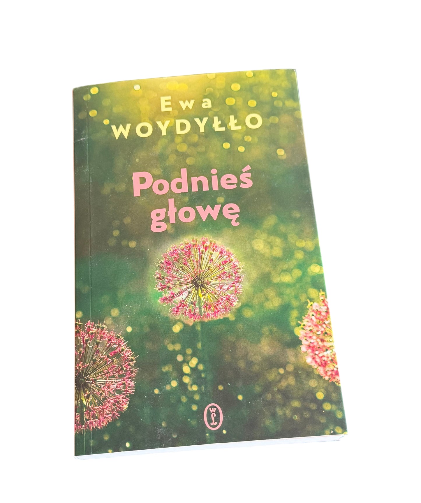 Polish 🇵🇱 Book - Ewa Wodyłło (Wodyllo) - Podnieś (podnies) głowę (glowe)