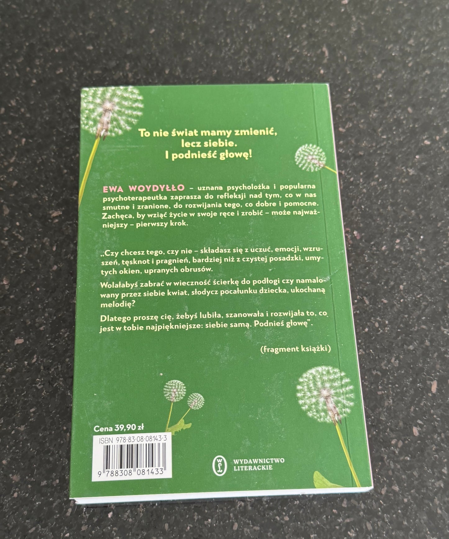 Polish 🇵🇱 Book - Ewa Wodyłło (Wodyllo) - Podnieś (podnies) głowę (glowe)