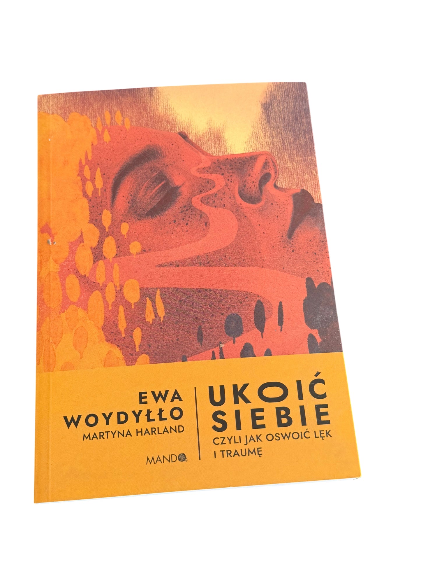 Polish 🇵🇱 Book - Ewa Wodyłło (Wodyllo) - Ukoić (ukoic) siebie