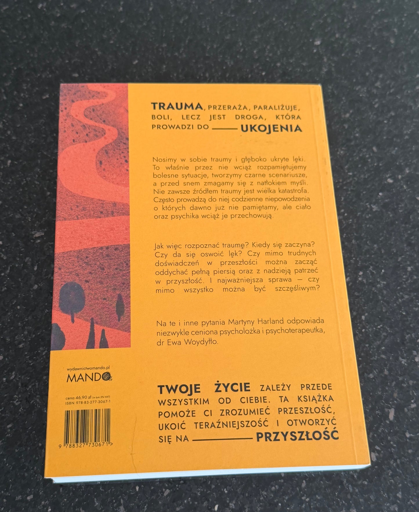 Polish 🇵🇱 Book - Ewa Wodyłło (Wodyllo) - Ukoić (ukoic) siebie