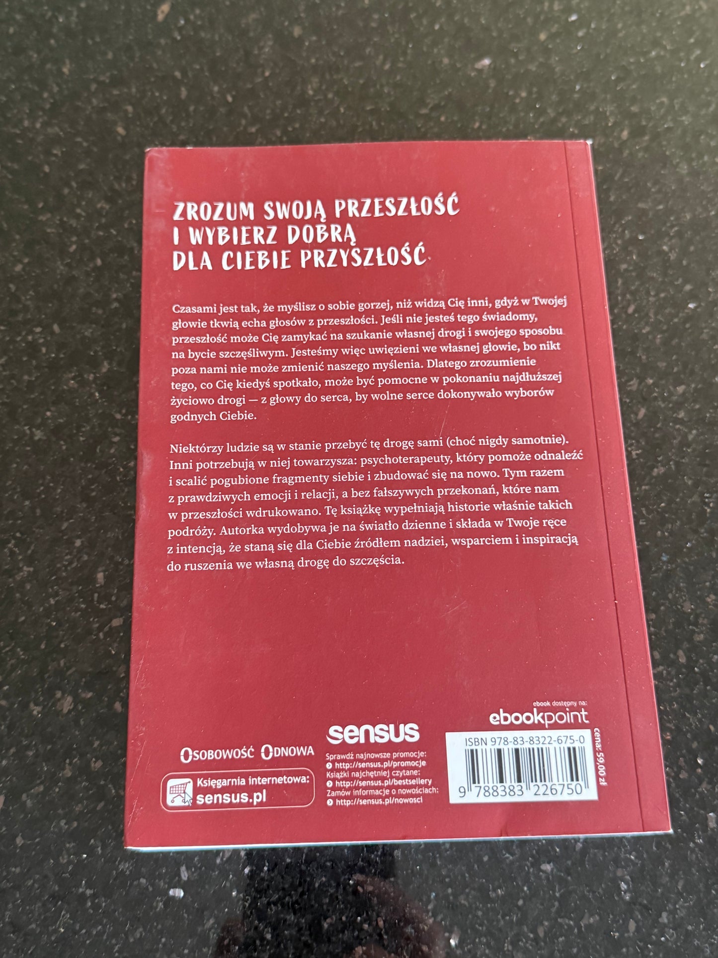 Polish 🇵🇱 Book -Agnieszka Kozak - Uwiezieni we wlasnej glowie - Next Day Delivery