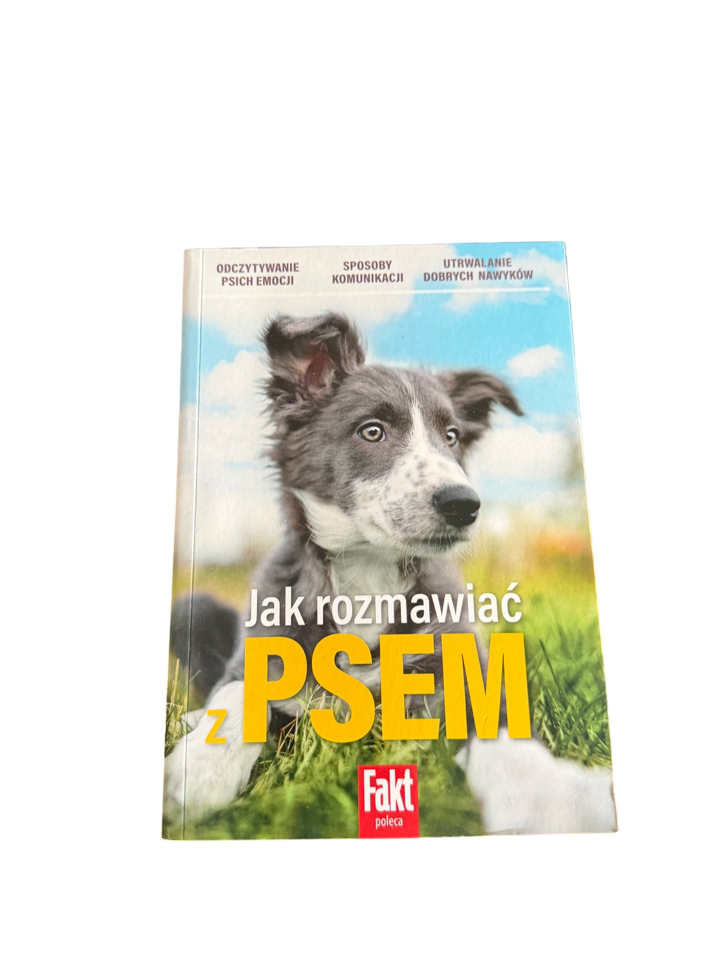 🇵🇱Polish Book - Praca Zbiorowa - Jak rozmawiac z psem