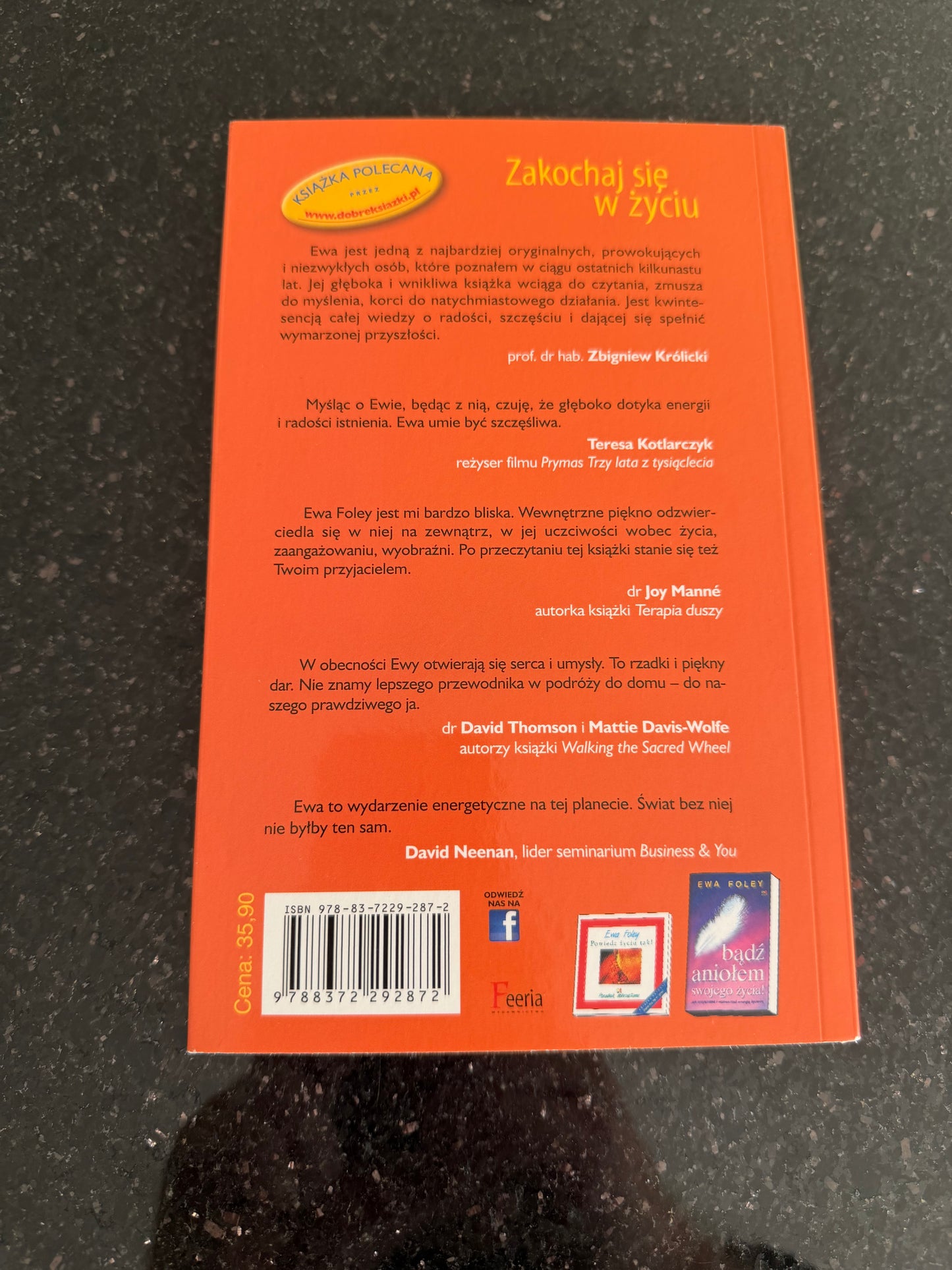 🇵🇱Polish Book - Ewa Foley - Zakochaj sie w życiu (zyciu)
