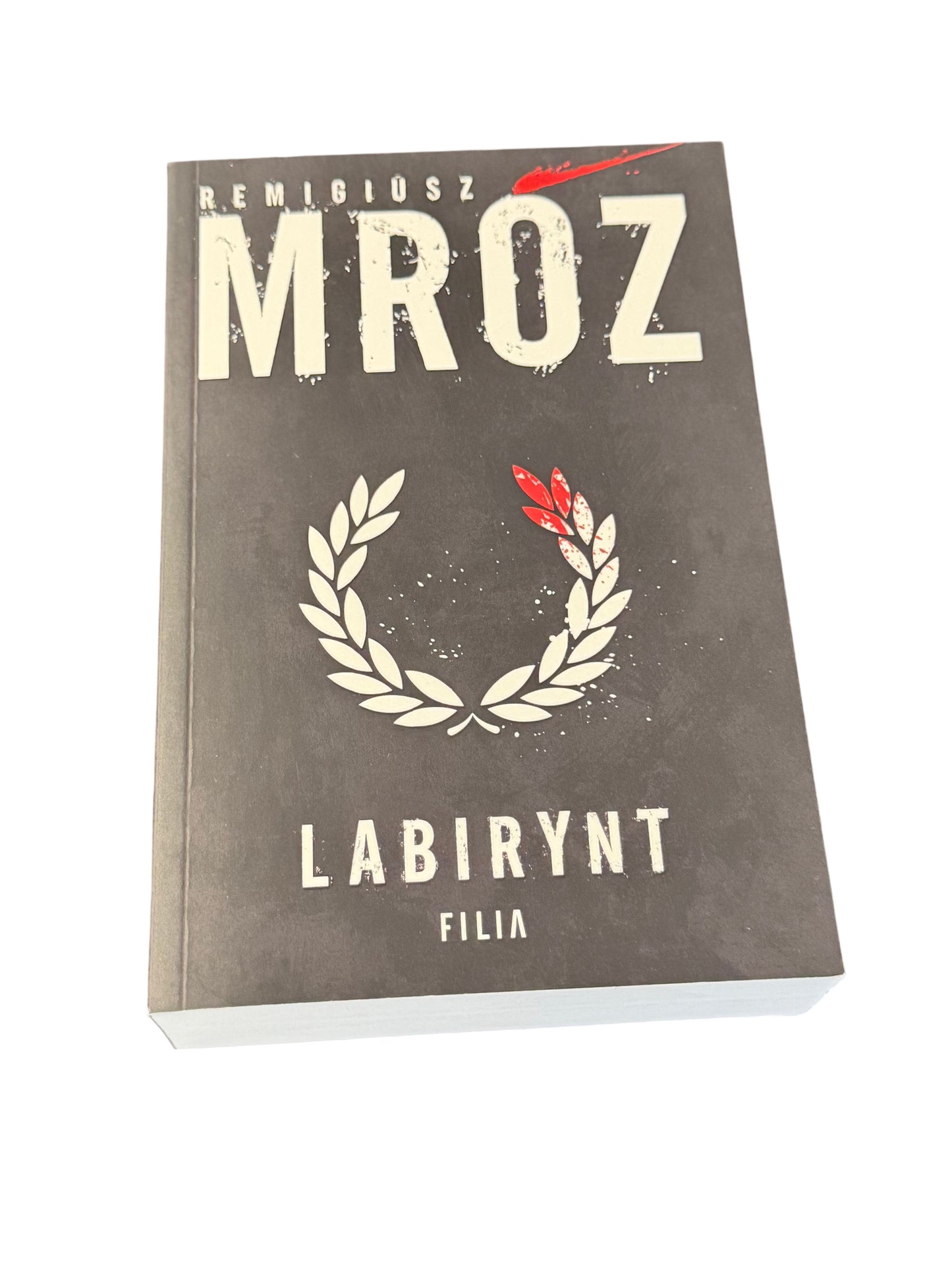 🇵🇱Polish Book - Remigiusz Mróz - Labirynt
