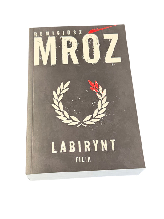 🇵🇱Polish Book - Remigiusz Mróz - Labirynt