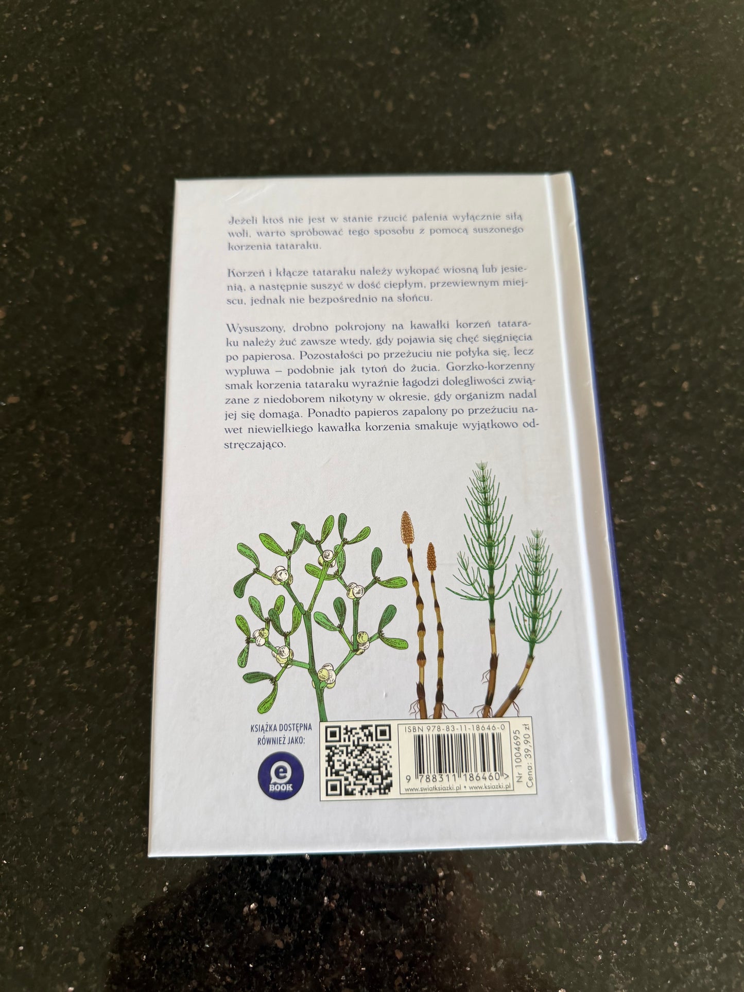 🇵🇱Polish Book - Maria Treben - Choroby Mezczyzn Mężczyzn (Ziołolecznictwo)